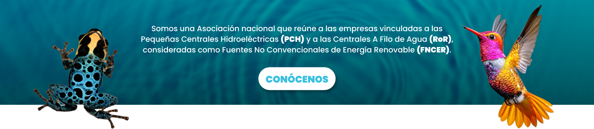 https://bigsmallhydro.com/